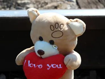 How do you obtain an emotional support animal?