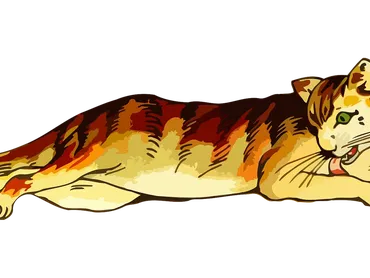 How To Care for a Cat Diagnosed with Diabetes