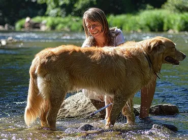 5 Tips for Choosing the Proper Pet Sitting Service