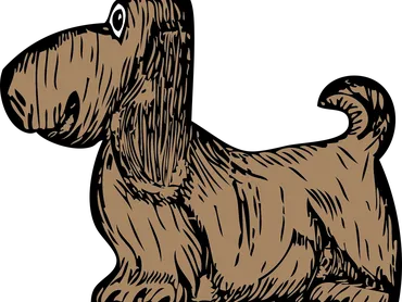 3.WHAT TYPE OF DOGS CAN PARTICIPATE IN WESTMINSTER DOG SHOW: