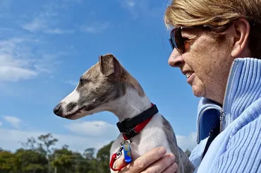 4 Tips for New Puppy Owners