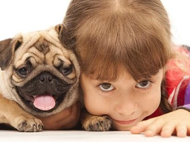 Tools needed after adopting a pet