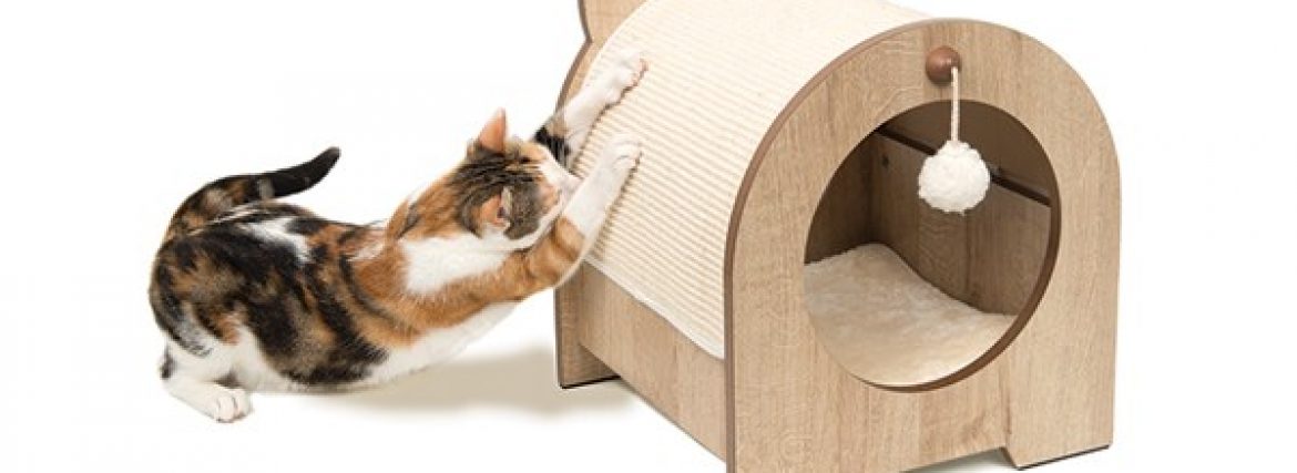 Cat Towers: The Options and Uses
