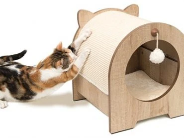 Cat Towers: The Options and Uses